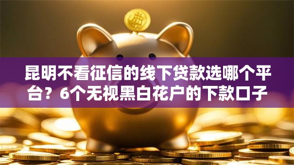 昆明不看征信的线下贷款选哪个平台?6个无视黑白花户的下款口子推荐 昆明不看征信的线下贷款选哪个平台?6个无视黑白花户的下款口子推荐