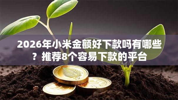 2026年小米金额好下款吗有哪些？推荐8个容易下款的平台