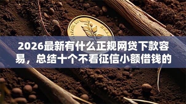 2026最新有什么正规网贷下款容易，总结十个不看征信小额借钱的口子！