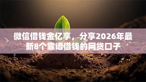 微信借钱金亿享，分享2026年最新8个靠谱借钱的网贷口子