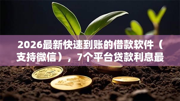 2026最新快速到账的借款软件(支持微信),7个平台贷款利息最低无私分享 2026最新快速到账的借款软件(支持微信),7个平台贷款利息最低无私分享