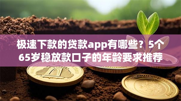 极速下款的贷款app有哪些?5个65岁稳放款口子的年龄要求推荐给你 极速下款的贷款app有哪些?5个65岁稳放款口子的年龄要求推荐给你