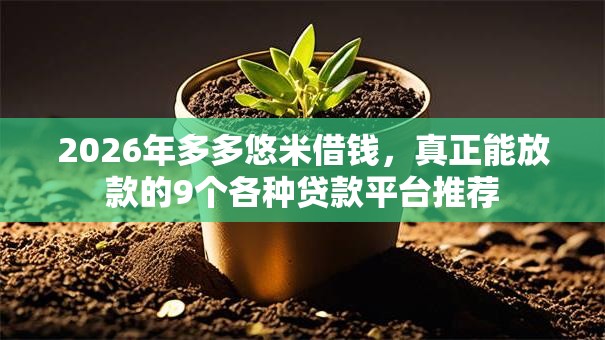 2026年多多悠米借钱,真正能放款的9个各种贷款平台推荐 2026年多多悠米借钱,真正能放款的9个各种贷款平台推荐