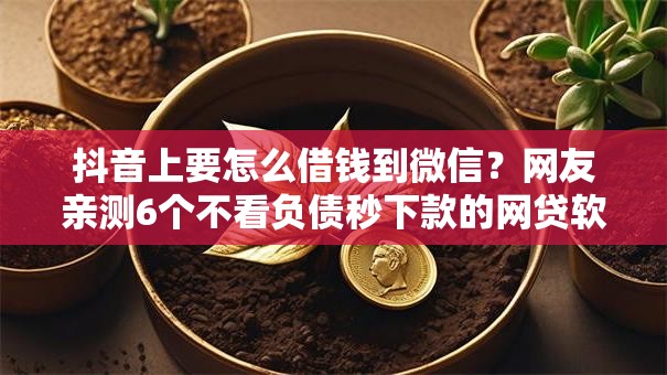 抖音上要怎么借钱到微信?网友亲测6个不看负债秒下款的网贷软件盘点 抖音上要怎么借钱到微信?网友亲测6个不看负债秒下款的网贷软件盘点
