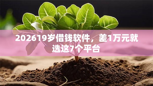 202619岁借钱软件,差1万元就选这7个平台 202619岁借钱软件,差1万元就选这7个平台