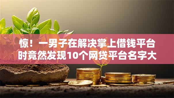 惊！一男子在解决掌上借钱平台时竟然发现10个网贷平台名字大全列表，事后分享了出来