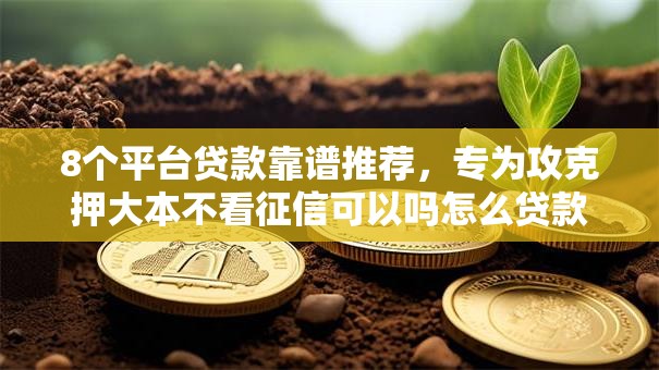8个平台贷款靠谱推荐,专为攻克押大本不看征信可以吗怎么贷款难题 8个平台贷款靠谱推荐,专为攻克押大本不看征信可以吗怎么贷款难题