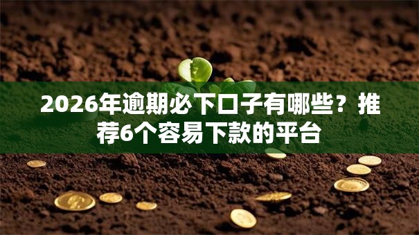 2026年逾期必下口子有哪些?推荐6个容易下款的平台 2026年逾期必下口子有哪些?推荐6个容易下款的平台