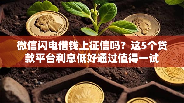 微信闪电借钱上征信吗?这5个贷款平台利息低好通过值得一试 微信闪电借钱上征信吗?这5个贷款平台利息低好通过值得一试