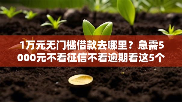 1万元无门槛借款去哪里？急需5000元不看征信不看逾期看这5个平台