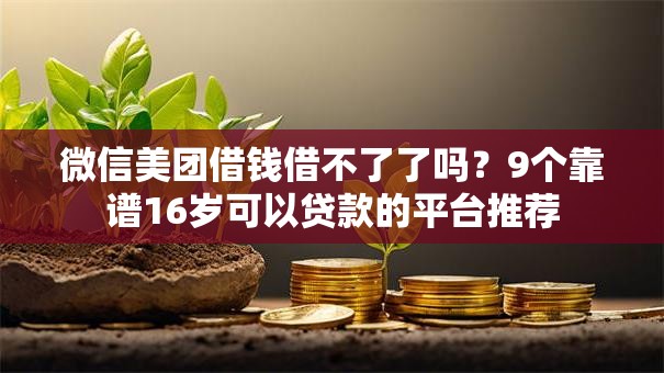 微信美团借钱借不了了吗？9个靠谱16岁可以贷款的平台推荐