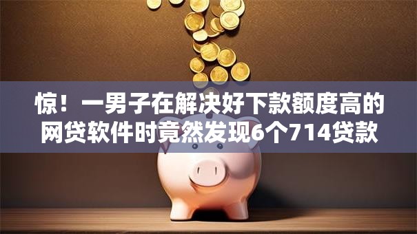 惊！一男子在解决好下款额度高的网贷软件时竟然发现6个714贷款平台，事后分享了出来