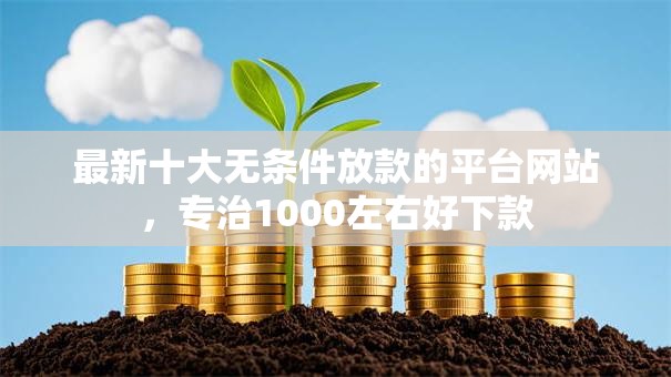 最新十大无条件放款的平台网站,专治1000左右好下款 最新十大无条件放款的平台网站,专治1000左右好下款
