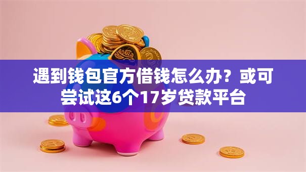 遇到钱包官方借钱怎么办?或可尝试这6个17岁贷款平台 遇到钱包官方借钱怎么办?或可尝试这6个17岁贷款平台