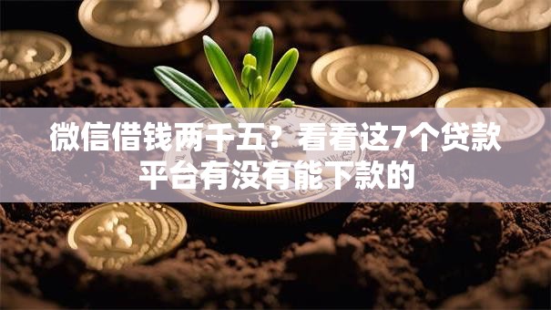 微信借钱两千五?看看这7个贷款平台有没有能下款的 微信借钱两千五?看看这7个贷款平台有没有能下款的