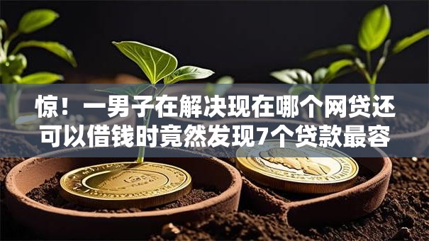 惊!一男子在解决现在哪个网贷还可以借钱时竟然发现7个贷款最容易通过的平台,事后分享了出来 惊!一男子在解决现在哪个网贷还可以借钱时竟然发现7个贷款最容易通过的平台,事后分享了出来