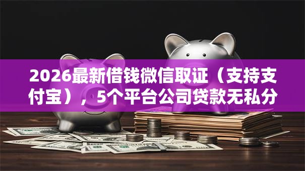 2026最新借钱微信取证(支持支付宝),5个平台公司贷款无私分享 2026最新借钱微信取证(支持支付宝),5个平台公司贷款无私分享