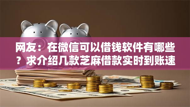 网友：在微信可以借钱软件有哪些？求介绍几款芝麻借款实时到账速借平台