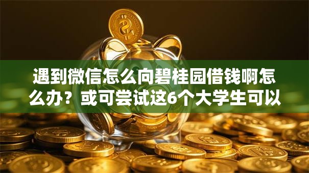 遇到微信怎么向碧桂园借钱啊怎么办?或可尝试这6个大学生可以借钱的平台 遇到微信怎么向碧桂园借钱啊怎么办?或可尝试这6个大学生可以借钱的平台