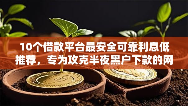 10个借款平台最安全可靠利息低推荐，专为攻克半夜黑户下款的网贷难题