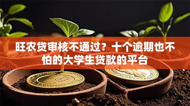 旺农贷审核不通过?十个逾期也不怕的大学生贷款的平台 旺农贷审核不通过?十个逾期也不怕的大学生贷款的平台