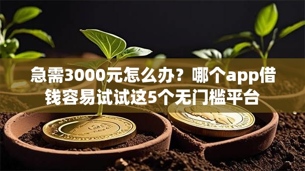 急需3000元怎么办？哪个app借钱容易试试这5个无门槛平台
