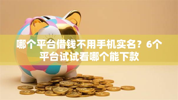 哪个平台借钱不用手机实名?6个平台试试看哪个能下款 哪个平台借钱不用手机实名?6个平台试试看哪个能下款