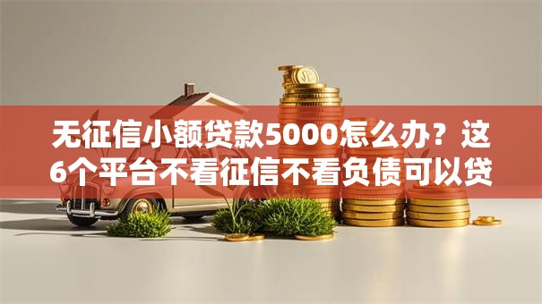 无征信小额贷款5000怎么办？这6个平台不看征信不看负债可以贷到钱可以试试