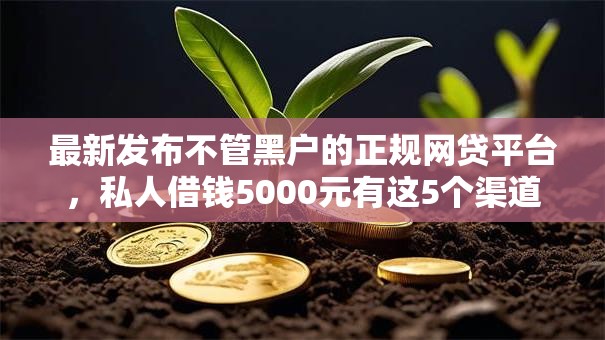 最新发布不管黑户的正规网贷平台,私人借钱5000元有这5个渠道 最新发布不管黑户的正规网贷平台,私人借钱5000元有这5个渠道