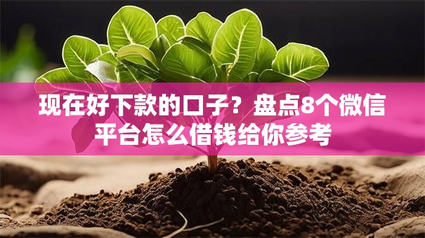 现在好下款的口子?盘点8个微信平台怎么借钱给你参考 现在好下款的口子?盘点8个微信平台怎么借钱给你参考