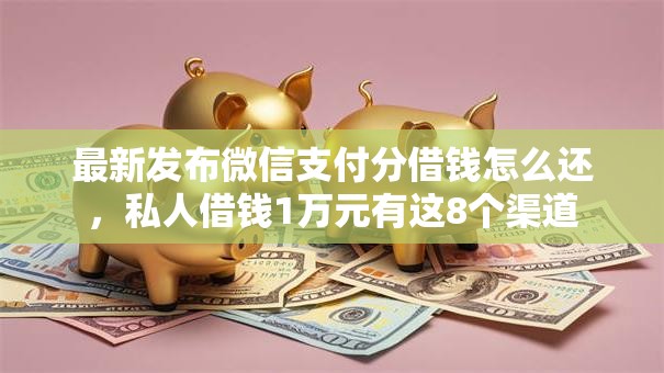 最新发布微信支付分借钱怎么还,私人借钱1万元有这8个渠道 最新发布微信支付分借钱怎么还,私人借钱1万元有这8个渠道