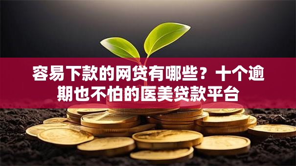 容易下款的网贷有哪些?十个逾期也不怕的医美贷款平台 容易下款的网贷有哪些?十个逾期也不怕的医美贷款平台
