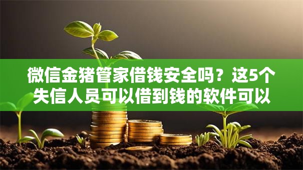 微信金猪管家借钱安全吗?这5个失信人员可以借到钱的软件可以试试 微信金猪管家借钱安全吗?这5个失信人员可以借到钱的软件可以试试