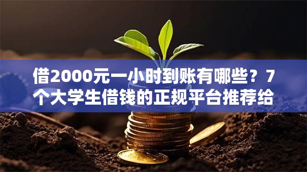 借2000元一小时到账有哪些？7个大学生借钱的正规平台推荐给你