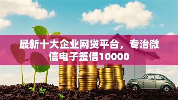 最新十大企业网贷平台,专治微信电子签借10000 最新十大企业网贷平台,专治微信电子签借10000