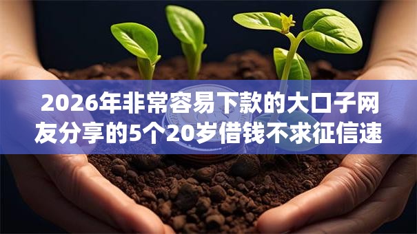 2026年非常容易下款的大口子网友分享的5个20岁借钱不求征信速借app我觉得不错! 2026年非常容易下款的大口子网友分享的5个20岁借钱不求征信速借app我觉得不错!