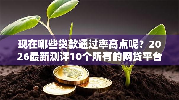 现在哪些贷款通过率高点呢?2026最新测评10个所有的网贷平台 现在哪些贷款通过率高点呢?2026最新测评10个所有的网贷平台