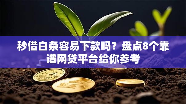 秒借白条容易下款吗?盘点8个靠谱网贷平台给你参考 秒借白条容易下款吗?盘点8个靠谱网贷平台给你参考