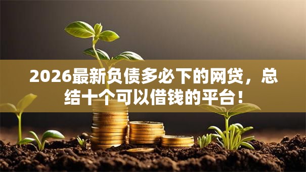 2026最新负债多必下的网贷,总结十个可以借钱的平台! 2026最新负债多必下的网贷,总结十个可以借钱的平台!
