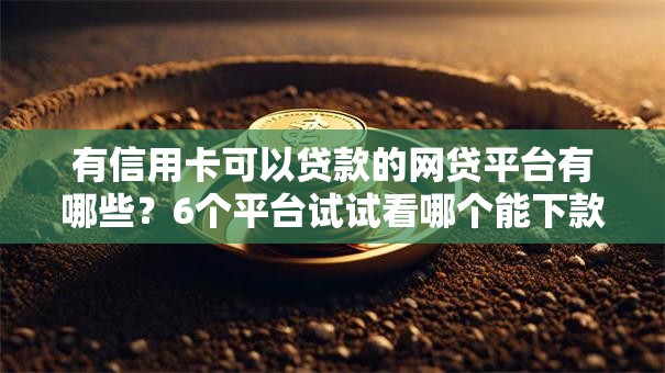 有信用卡可以贷款的网贷平台有哪些?6个平台试试看哪个能下款 有信用卡可以贷款的网贷平台有哪些?6个平台试试看哪个能下款
