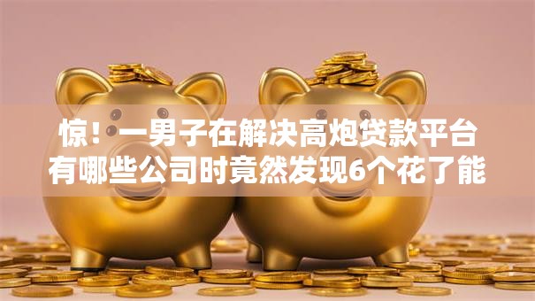 惊！一男子在解决高炮贷款平台有哪些公司时竟然发现6个花了能下款的口子，事后分享了出来