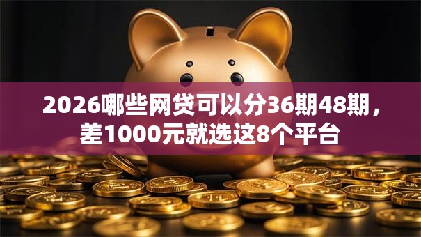 2026哪些网贷可以分36期48期,差1000元就选这8个平台 2026哪些网贷可以分36期48期,差1000元就选这8个平台