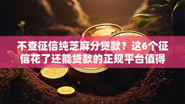 不查征信纯芝麻分贷款？这6个征信花了还能贷款的正规平台值得一试