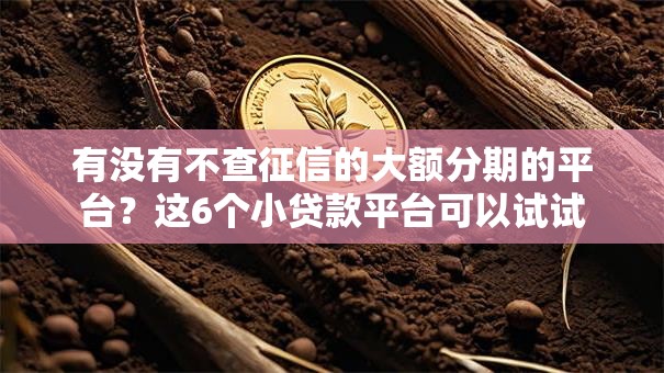 有没有不查征信的大额分期的平台?这6个小贷款平台可以试试 有没有不查征信的大额分期的平台?这6个小贷款平台可以试试