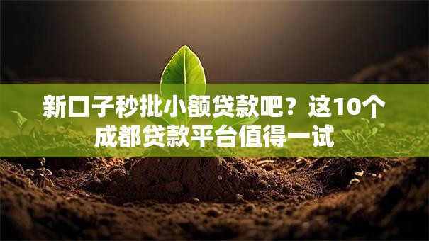 新口子秒批小额贷款吧?这10个成都贷款平台值得一试 新口子秒批小额贷款吧?这10个成都贷款平台值得一试