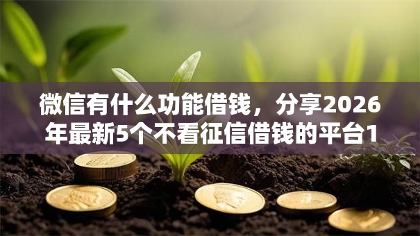 微信有什么功能借钱,分享2026年最新5个不看征信借钱的平台100%能借到 微信有什么功能借钱,分享2026年最新5个不看征信借钱的平台100%能借到