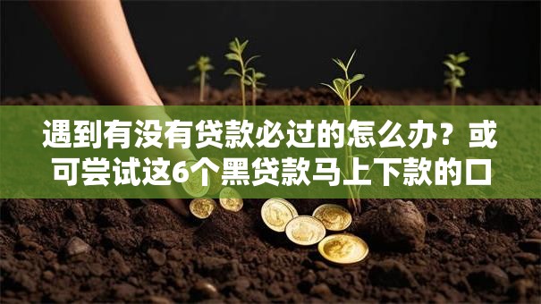 遇到有没有贷款必过的怎么办？或可尝试这6个黑贷款马上下款的口子2025