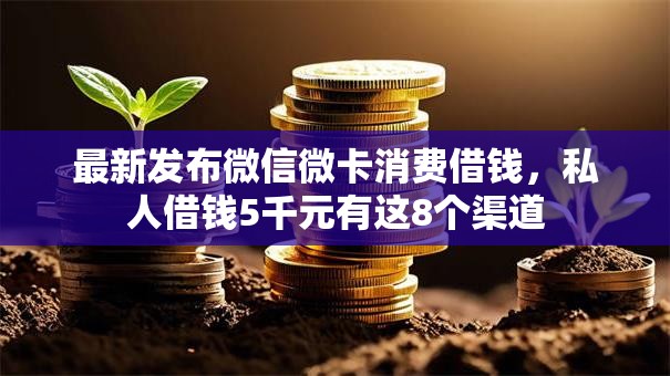 最新发布微信微卡消费借钱，私人借钱5千元有这8个渠道