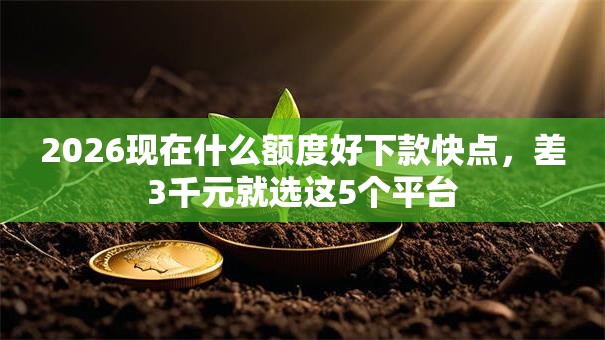 2026现在什么额度好下款快点,差3千元就选这5个平台 2026现在什么额度好下款快点,差3千元就选这5个平台