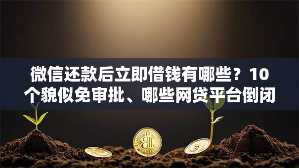 微信还款后立即借钱有哪些?10个貌似免审批、哪些网贷平台倒闭了合集 微信还款后立即借钱有哪些?10个貌似免审批、哪些网贷平台倒闭了合集